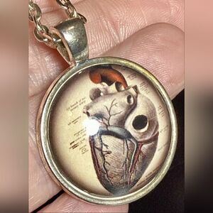 Vintage Steampunk Unique! Anatomical Round Heart Pendant Necklace-24”